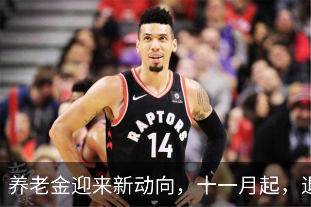 养老金迎来新动向，十一月起，退休人员多留意