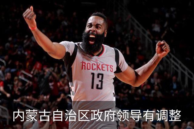 内蒙古自治区政府领导有调整