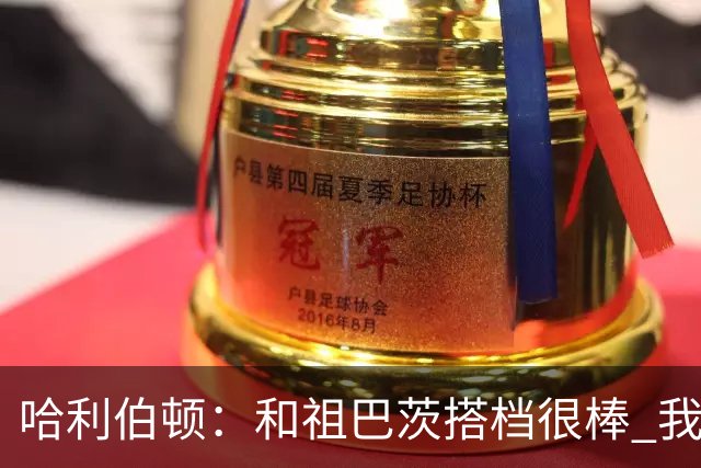 哈利伯顿：和祖巴茨搭档很棒 我们的关系发展得很顺利