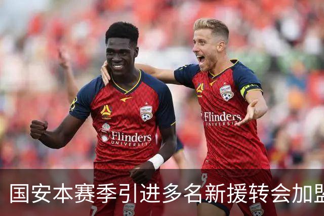 国安本赛季引进多名新援转会加盟！如今有三位王牌表现不俗，值得期待