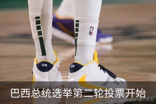 巴西总统选举第二轮投票开始