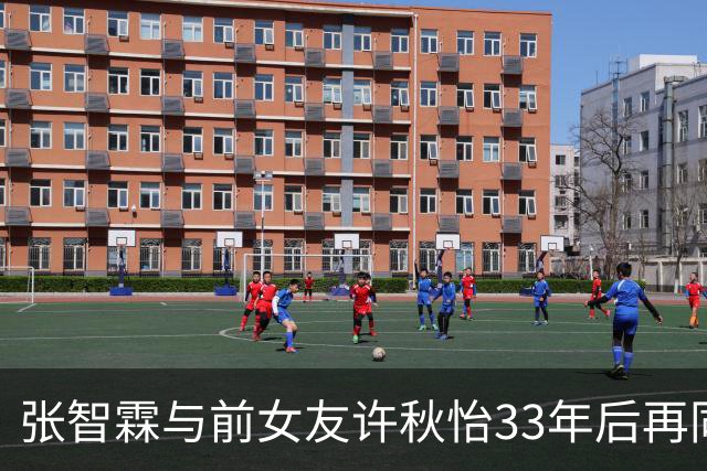 张智霖与前女友许秋怡33年后再同台！袁咏仪台下反应绝了