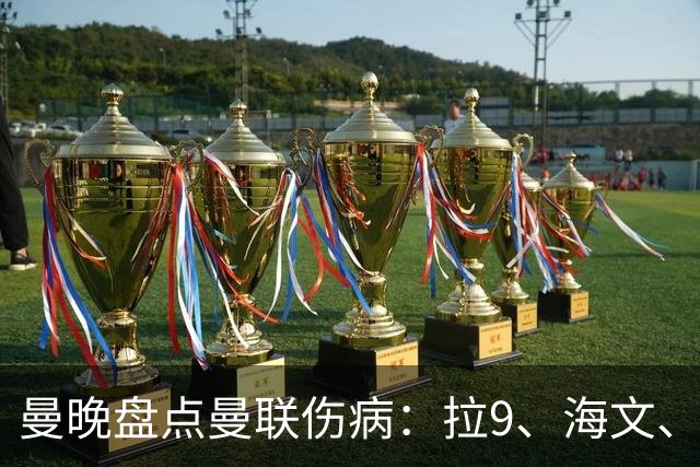 曼晚盘点曼联伤病：拉9、海文、利马周末有望复出 舍什科未知