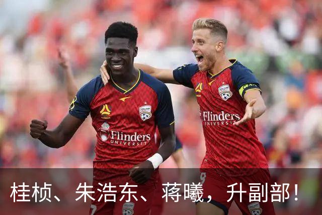 桂桢、朱浩东、蒋曦，升副部！