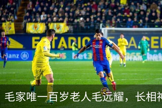 毛家唯一百岁老人毛远耀，长相神似毛主席，晚年享受哪些待遇？