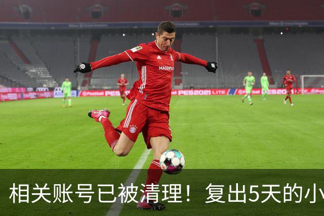 相关账号已被清理！复出5天的小杨哥，就撞上难堪一幕
