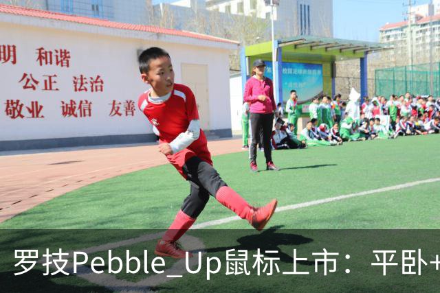 罗技Pebble Up鼠标上市：平卧+ 35°斜卧双形态，到手价251.1元