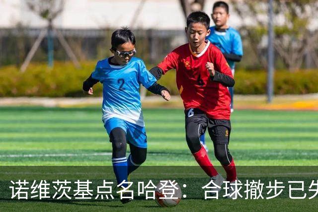 诺维茨基点名哈登：合球撤步已失控，我们那代根本没见过