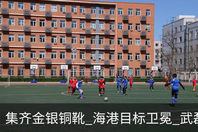 集齐金银铜靴 海港目标卫冕 武磊的伤是个麻烦