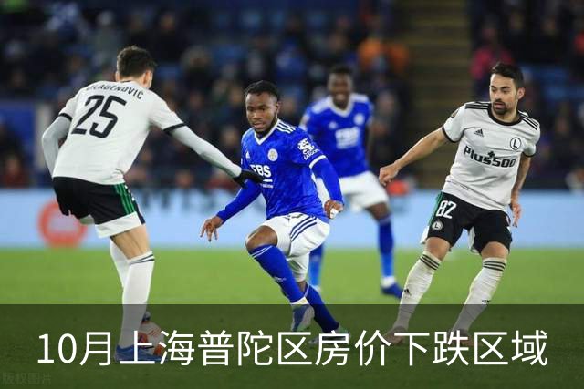 10月上海普陀区房价下跌区域