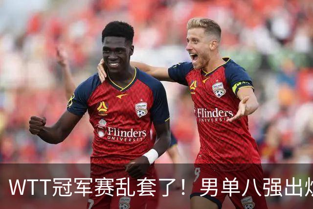 WTT冠军赛乱套了！男单八强出炉，日本，法国全军覆没，国乒占三席